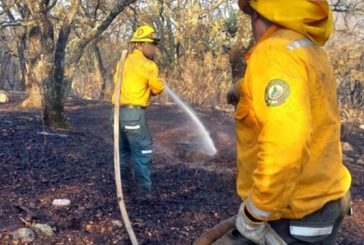 Guanajuato: Continúa incendio en Sierra de los Agustinos