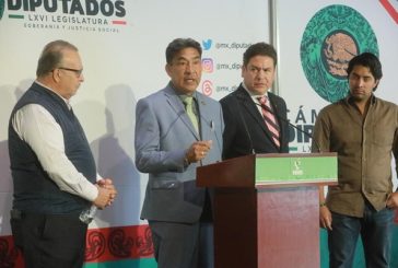 Importante que autoridades informen estrategia para frenar la tala de árboles, causante de erosión y sequía: Partido Verde