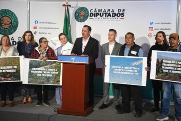 El PAN exige medidas urgentes para enfrentar la plaga del mosco culex en Hidalgo