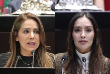 Busca iniciativa sancionar hasta con siete años de prisión a quien abandone animales domésticos en vías públicas