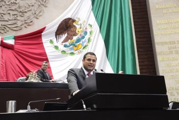 Piden fortalecer los contenidos educativos sobre el cuidado del medio ambiente en los planes y programas de estudio