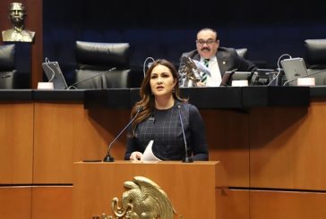 Reconocer el derecho de la naturaleza a la protección, al respeto y al cuidado integral de su existencia, propone PT