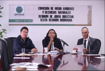 Aprueban dictamen que prohíbe circulación de vehículos recreativos todo terreno en áreas naturales protegidas