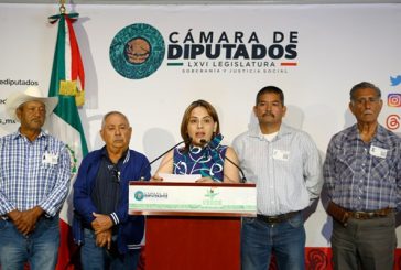 Exige acciones urgentes para salvar producción de sorgo, maíz y trigo cristalino en Tamaulipas