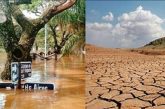 Fenómenos naturales generan pérdidas por 596,000 mdp