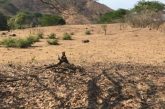 Denuncian que más de 500 jóvenes están recluidos por una organización criminal en Tierra Caliente