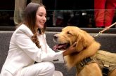 Propone que los gastos veterinarios sean deducibles de impuestos
