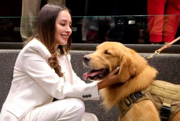 Propone que los gastos veterinarios sean deducibles de impuestos