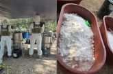 Desmantelan narcolaboratorio en Michoacán
