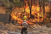 Incendio forestal activo en Sonora consume casi 10 mil hectáreas
