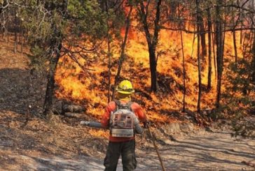 Incendio forestal activo en Sonora consume casi 10 mil hectáreas