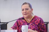 Baja afluencia a las urnas no será culpa del INE: Taddei