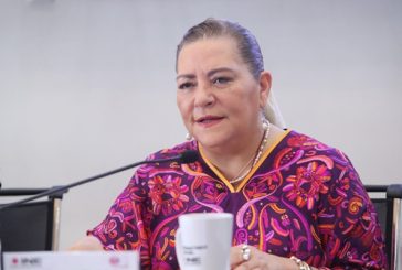 Baja afluencia a las urnas no será culpa del INE: Taddei