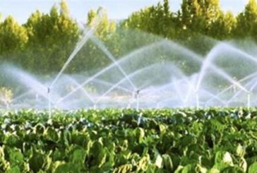Eficiencia hídrica reto para el gobierno federal