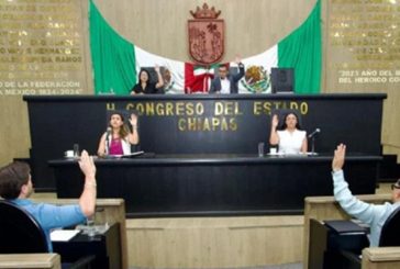 Congreso de Chiapas endurece sanciones contra el maltrato animal