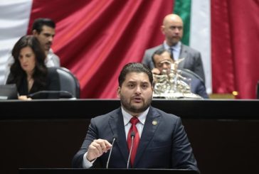 Impulsa iniciativa para que los gastos en alimentación y salud de perros y gatos puedan ser deducibles de impuestos
