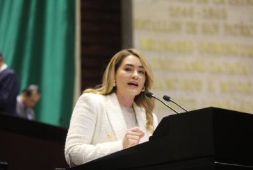 Paneles solares como alternativa energética en campeche, propone la diputada Ariana Rejón