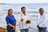 Va por fondo anti-sargazo para Quintana Roo; busca audiencia con gobernadora Lezama