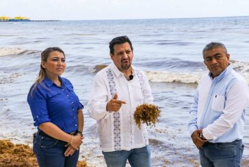 Va por fondo anti-sargazo para Quintana Roo; busca audiencia con gobernadora Lezama