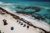 Sargazo alcanzará niveles sin precedentes en playas mexicanas este año: advierte la UNAM