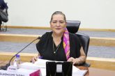 “INE listo para entregar constancias de mayoría”: Taddei
