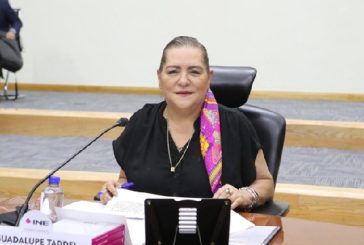 “INE listo para entregar constancias de mayoría”: Taddei