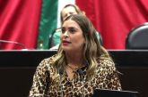 Busca iniciativa establecer protocolos de seguridad hospitalaria obligatorios para evitar robo o sustracción de recién nacidos