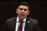 Proponen multar a quien comercialice, reproduzca o maltrate perros y gatos