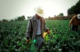 Agricultores mexicanos advierten una catástrofe alimentaria por aranceles de EU