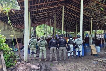 Desmantelan narco laboratorio en Palenque, Chiapas
